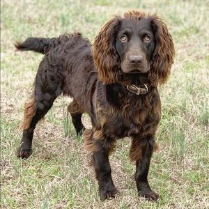 Meet your Posher, Colby